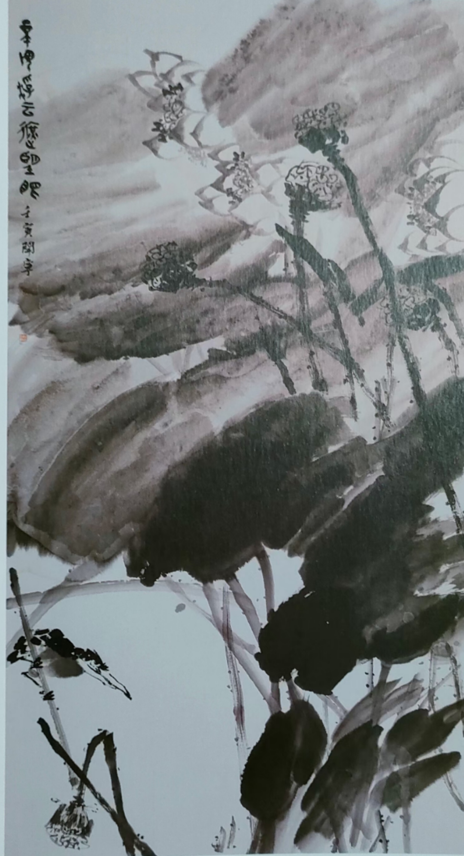 《不畏浮雲遮望眼》 文開寧 漣鋼