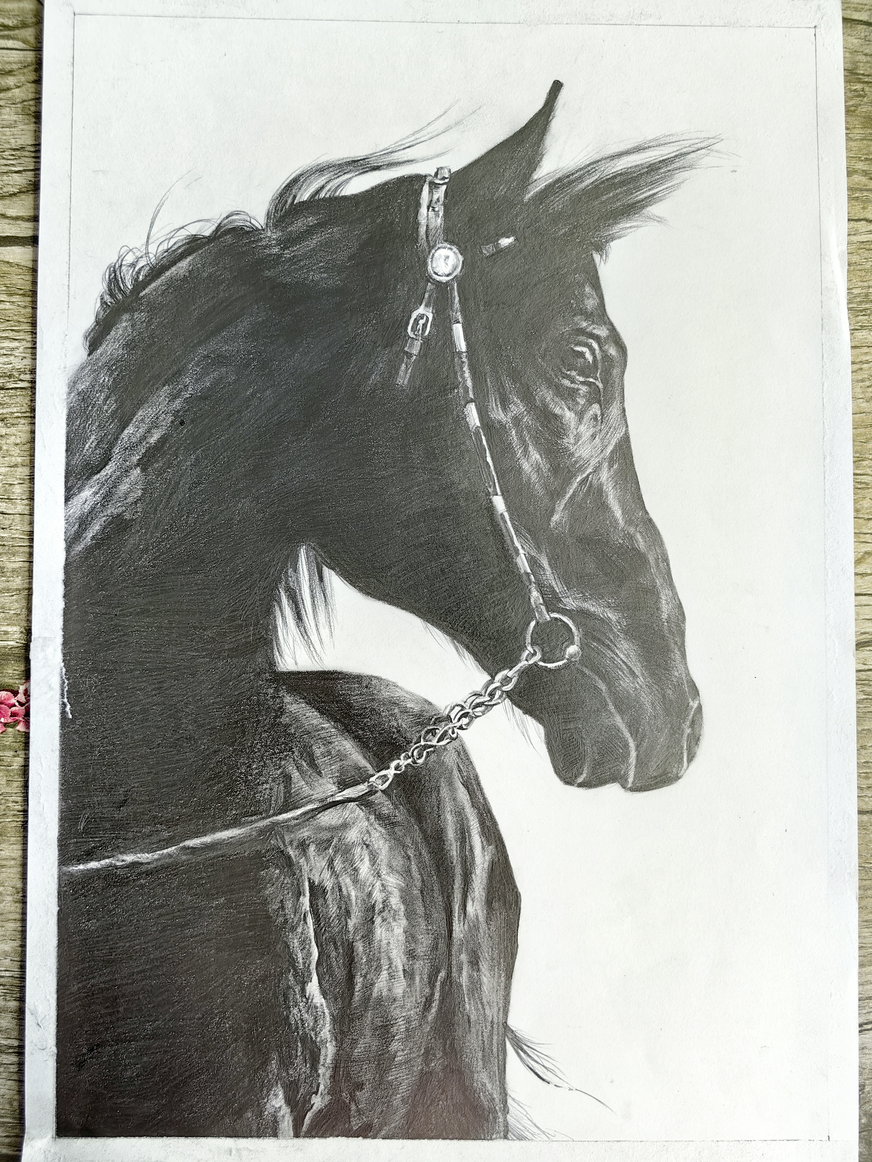 《驪駒》王承鐵 承德釩鈦